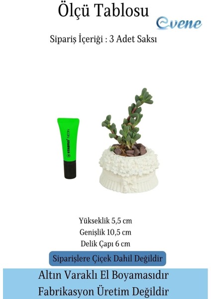 Mini Çiçek Saksı Küçük Sukulent Kaktüs Saksısı 3'lü Set Çiçekli Fiyonklu Model