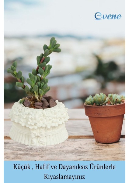 Mini Çiçek Saksı Küçük Sukulent Kaktüs Saksısı 3'lü Set Çiçekli Fiyonklu Model