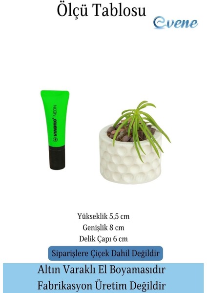 Mini Çiçek Saksı Küçük Sukulent Kaktüs Saksısı Puantiyeli Model