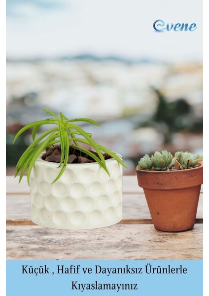 Mini Çiçek Saksı Küçük Sukulent Kaktüs Saksısı Puantiyeli Model
