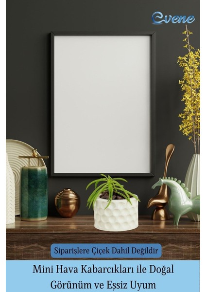 Mini Çiçek Saksı Küçük Sukulent Kaktüs Saksısı Puantiyeli Model