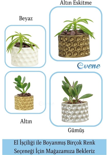 Mini Çiçek Saksı Küçük Sukulent Kaktüs Saksısı Puantiyeli Model