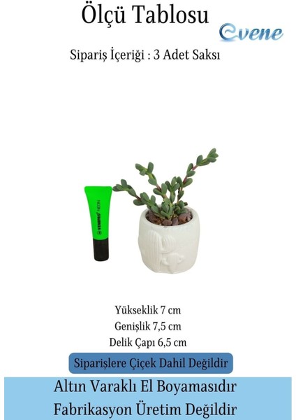 Mini Çiçek Saksı Küçük Sukulent Kaktüs Saksısı 3'lü Set Kaktüs Desenli Model