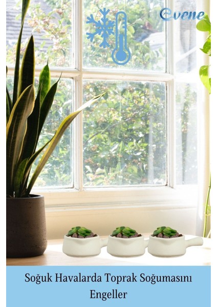 Mini Çiçek Saksı Küçük Sukulent Kaktüs Saksısı 3'lü Set Mini Tava Model