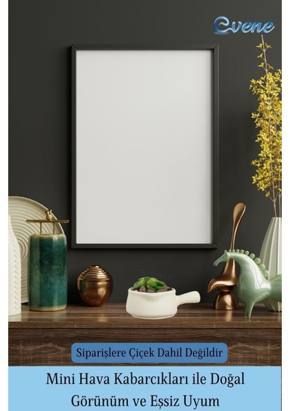 Mini Çiçek Saksı Küçük Sukulent Kaktüs Saksısı 3'lü Set Mini Tava Model