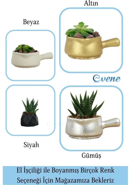 Mini Çiçek Saksı Küçük Sukulent Kaktüs Saksısı 3'lü Set Mini Tava Model