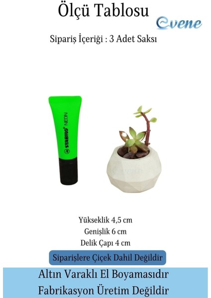 Mini Çiçek Saksı Küçük Sukulent Kaktüs Saksısı 3'lü Set Mini Poly Silindir Model