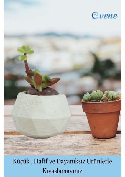 Mini Çiçek Saksı Küçük Sukulent Kaktüs Saksısı 3'lü Set Mini Poly Silindir Model