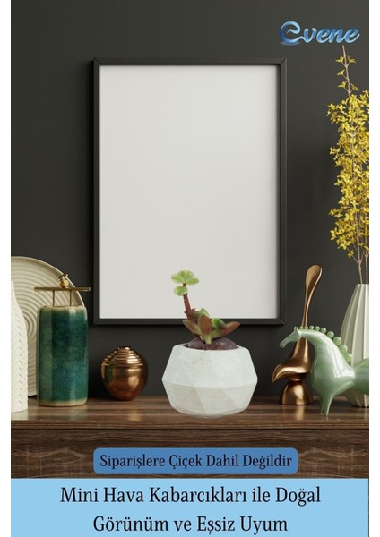 Mini Çiçek Saksı Küçük Sukulent Kaktüs Saksısı 3'lü Set Mini Poly Silindir Model