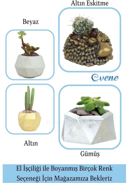 Mini Çiçek Saksı Küçük Sukulent Kaktüs Saksısı 3'lü Set Mini Poly Silindir Model
