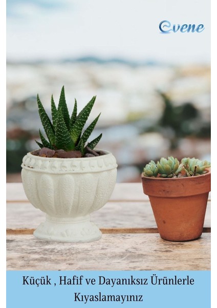 Mini Çiçek Saksı Küçük Sukulent Kaktüs Saksısı 3'lü Set Antika Vazo Model