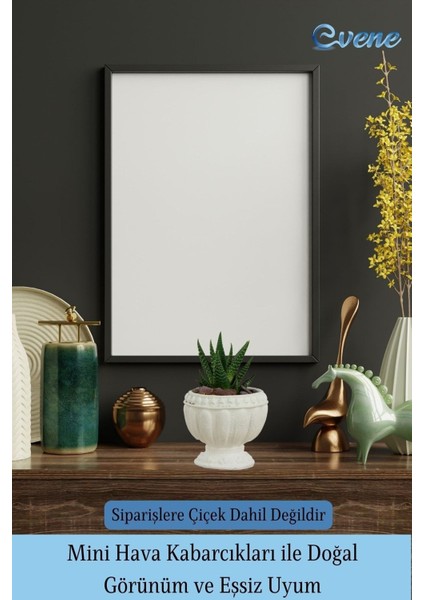 Mini Çiçek Saksı Küçük Sukulent Kaktüs Saksısı 3'lü Set Antika Vazo Model