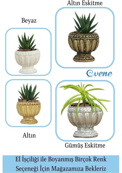 Mini Çiçek Saksı Küçük Sukulent Kaktüs Saksısı 3'lü Set Antika Vazo Model