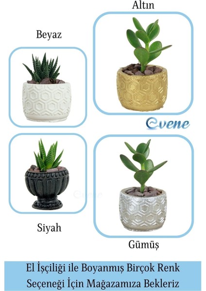 Mini Çiçek Saksı Küçük Sukulent Kaktüs Saksısı Altıgen Desenli Model