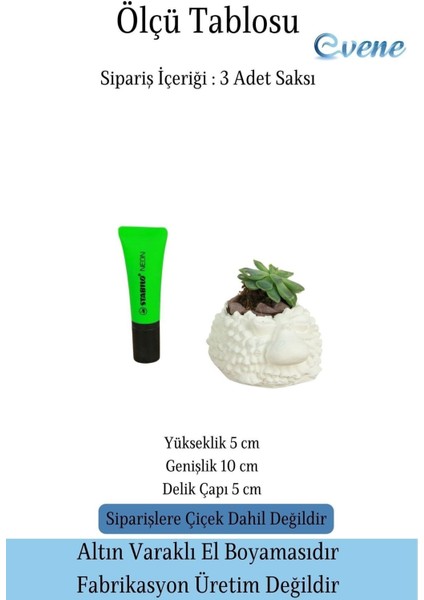 Mini Çiçek Saksı Küçük Sukulent Kaktüs Saksısı 3'lü Set Koyun Model