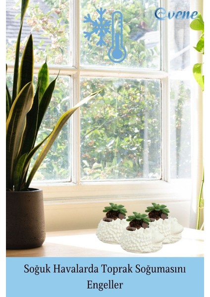 Mini Çiçek Saksı Küçük Sukulent Kaktüs Saksısı 3'lü Set Koyun Model