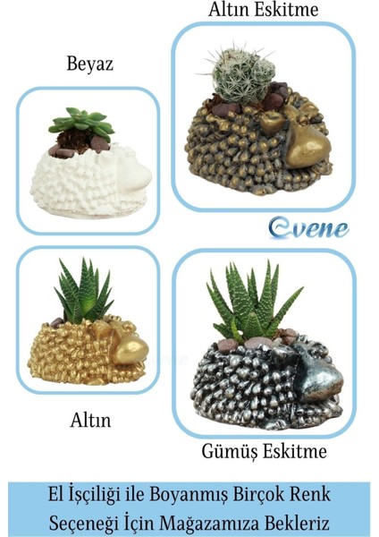 Mini Çiçek Saksı Küçük Sukulent Kaktüs Saksısı 3'lü Set Koyun Model