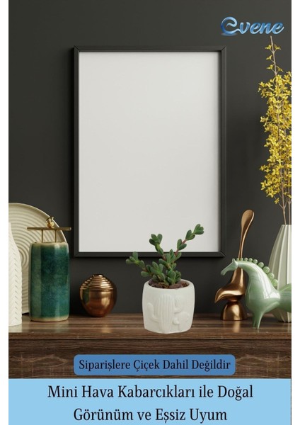 Mini Çiçek Saksı Küçük Sukulent Kaktüs Saksısı 3'lü Set Kaktüs Desenli Model