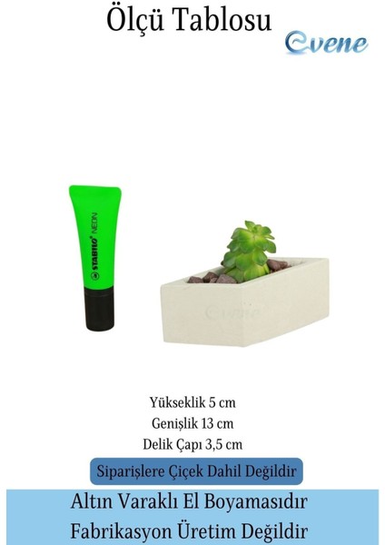 Mini Çiçek Saksı Küçük Sukulent Kaktüs Saksısı Dörtgen Yatay Model