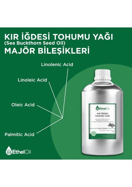 Kır Iğdesi Tohumu Yağı 5 kg