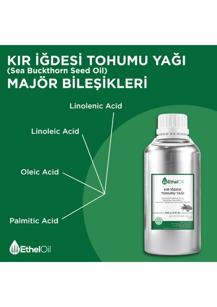 Kır Iğdesi Tohumu Yağı 500 gr