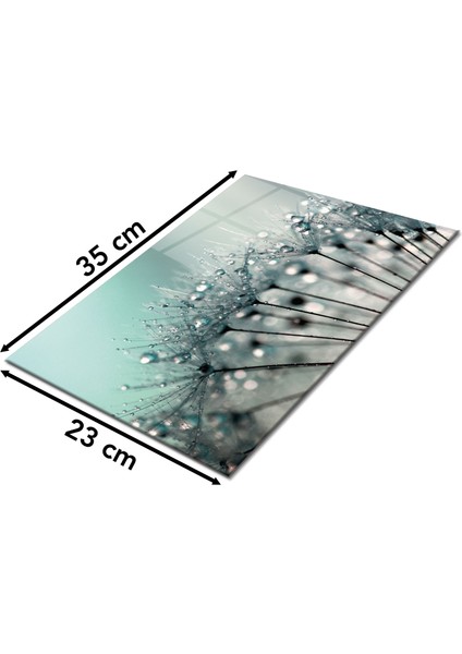 Yeşil Karahindiba Cam Kesme Tahtası, Silikon Ayaklı, Isıya Kırılmaya Dayanıklı, Sunum Kesim Tablası fiyatları