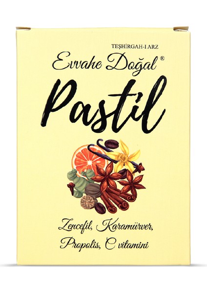 Pastil 12 adet(Zencefil, Karamürver, Propolis, C vitamini İçeren Pastil Takviye Edici Gıda) fiyatları