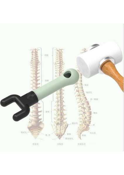 Spinal Rehabilitasyon Kayropraktik Masaj Seti modelleri