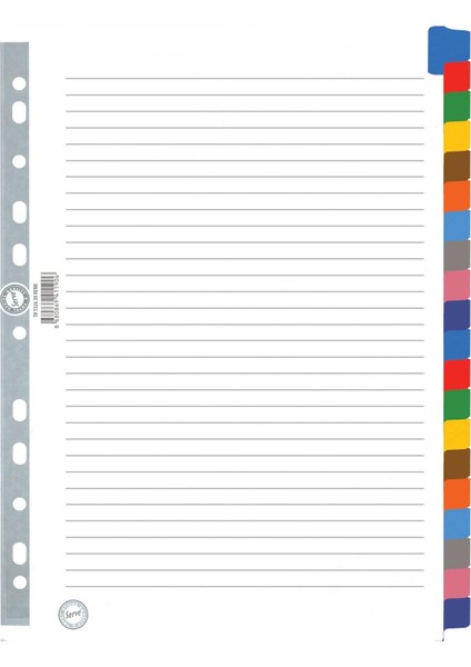 Karton Ayrac Klasik 20 Renkli A4