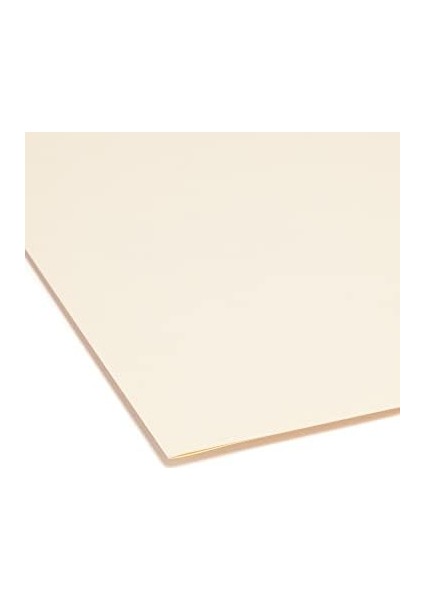 Indiziert Dosya Düzenleyici Set, Aylık (Jan-Aralık) Klasör, Güçlendirilmiş 1/5-Cut Tab, Letter Size, Manila, 12 Pro Set (Navigasyon Cihazı) modelleri