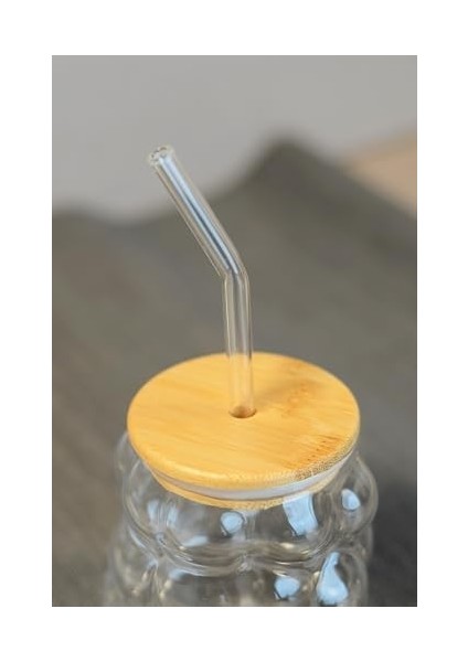 Bambu Kapaklı Üzüm Taneii Cam Pipetli 350 ml Borosilikat Bardak fiyatları