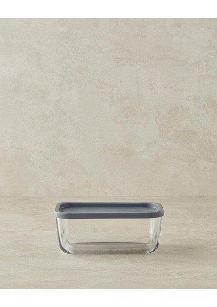 Home Fresh Safe Cam Saklama Kabı 270 ml Gri