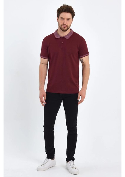 Erkek Polo Yaka Tişört modelleri