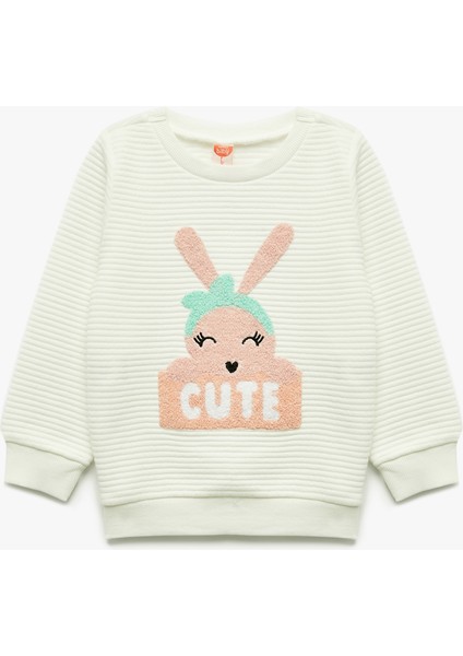 Bisiklet Yaka Nakışlı Dokulu Uzun Kollu Sweatshirt