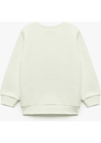 Bisiklet Yaka Nakışlı Dokulu Uzun Kollu Sweatshirt fiyatları