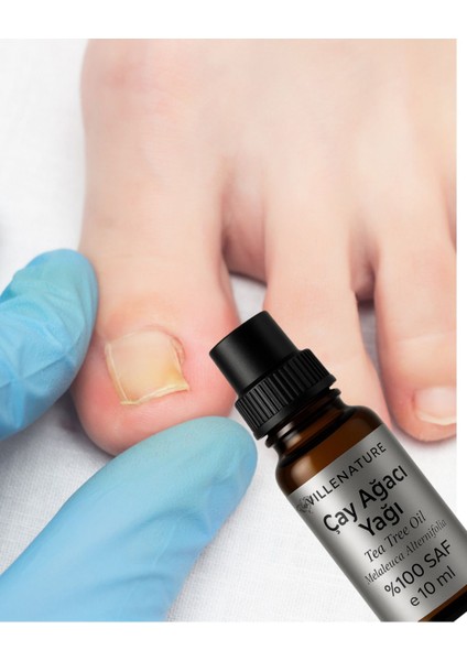 Çay Ağacı Uçucu Yağı 10 ml modelleri