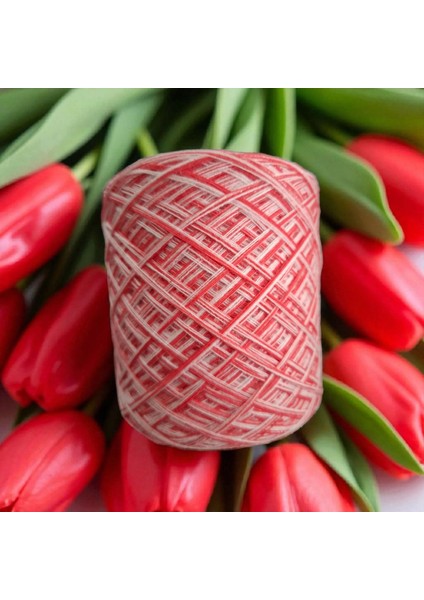 6 Kat Pamuk Viskon & Sim Karışımı Tasarim El Örgü İpi 130 gr