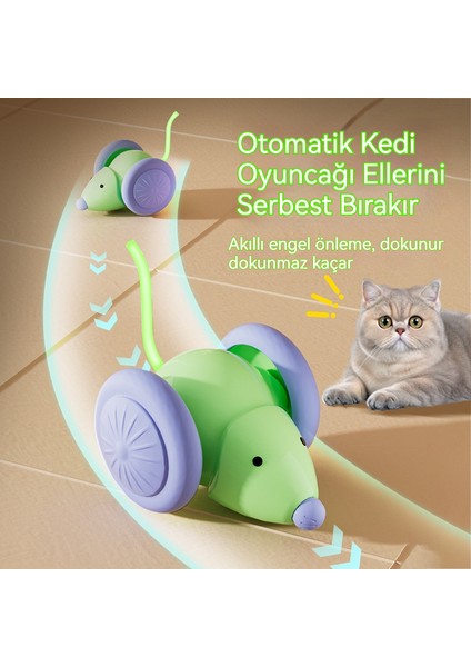Akıllı Kedi Oyuncak Indüksiyon Fare Araba Oyuncak Atlatmak (Yurt Dışından) fiyatları