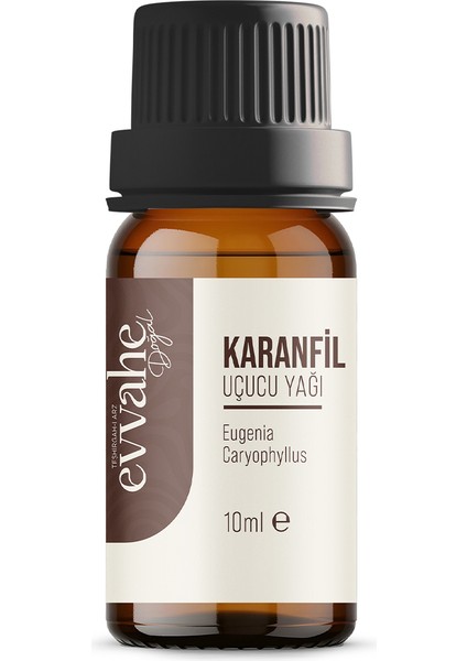 Karanfil Yağı (10 ml)