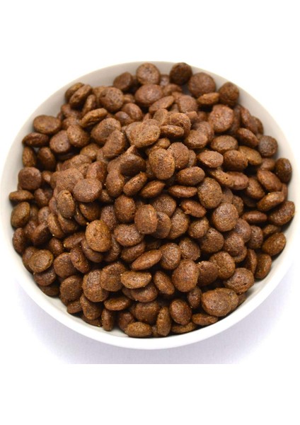 10 Numara Balık Etli Kedi Maması Açık Paketlenmiş Mama 500 Gr