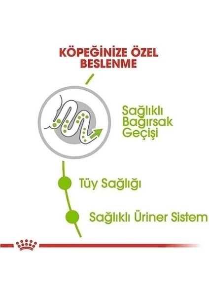 Royal Canin Xsmall Adult Yetişkin Köpek Maması 1.5 kg fırsatları