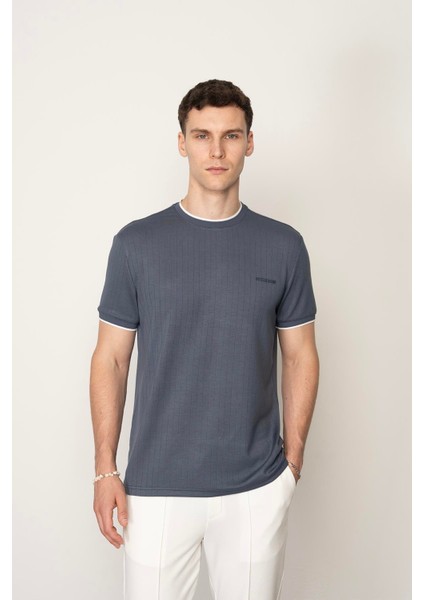 Antrasit Regular Fit Bisiklet Yaka Erkek T-Shirt E1015