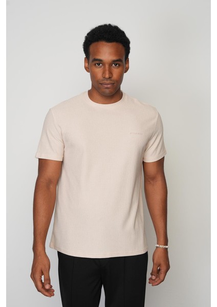 Taş Regular Fit Bisiklet Yaka Erkek T-Shirt E1002 fırsatları