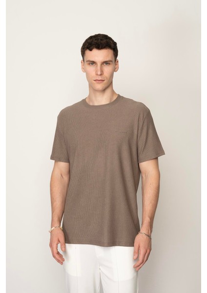 Kül Regular Fit Bisiklet Yaka Erkek T-Shirt E1002