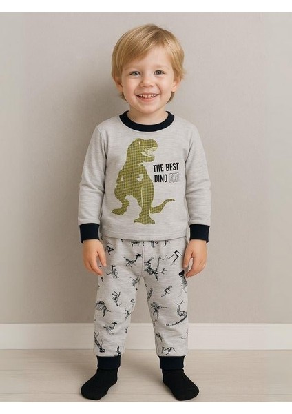 Erkek Çocuk Dinozor Baskılı Uzun Kollu Pijama Takımı fiyatları