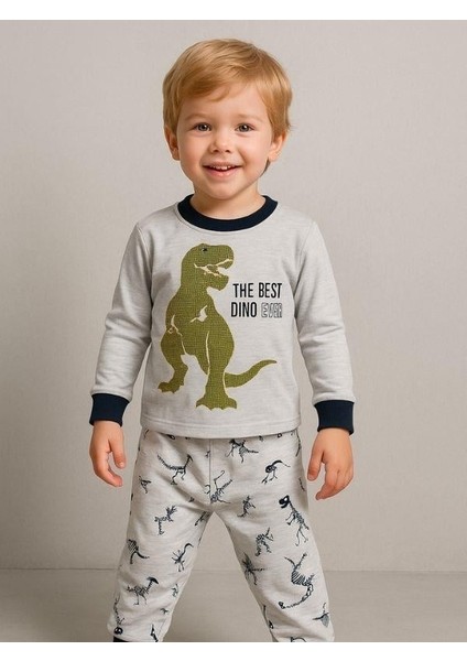 Erkek Çocuk Dinozor Baskılı Uzun Kollu Pijama Takımı fırsatları