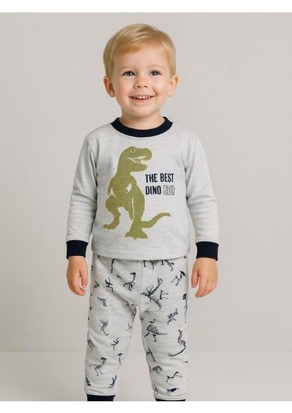 Erkek Çocuk Dinozor Baskılı Uzun Kollu Pijama Takımı indirimleri