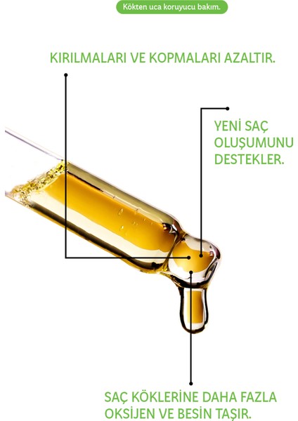 | Biberiye Yağlı Saç Dökülmesine Karşı Saç Besleyici ve Güçlendirici Serum (50ml) fiyatları