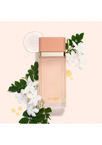 Hydra-Dose Ha Booster - Nemlendirici ve Aydnlatıcı Esans 100 ml modelleri