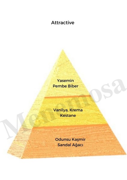 Attractive Kadın Parfüm + No: 122 Saç Parfüm Oriental - MNMS200ATTS fiyatları